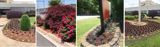 Brad Stalnaker, Owner Creative Design Landscaping