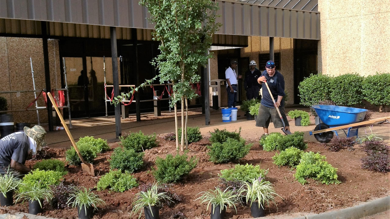 commercial landscaping